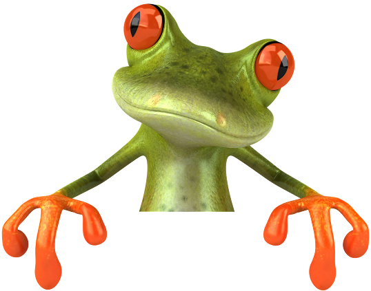 form-frog