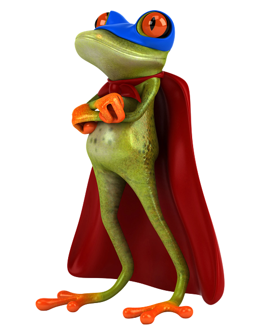 AC Installation Frog