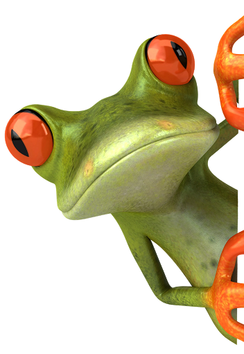 About Frog