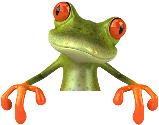 Boiler Installation Frog