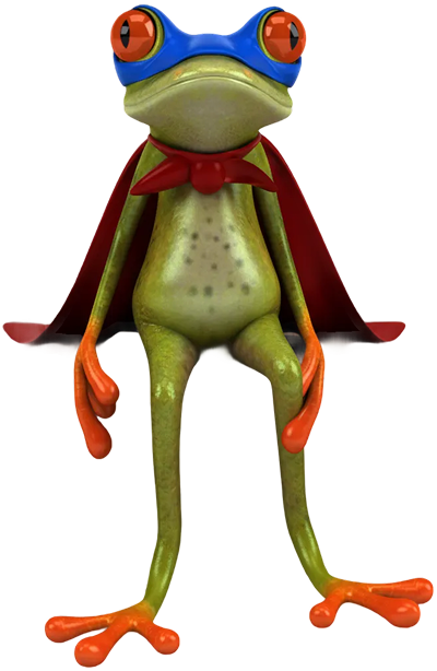 Boiler Servicing Frog