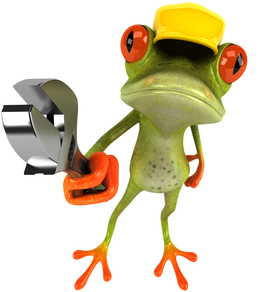 Change Heating Systems Frog