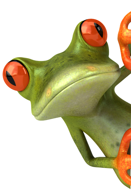 Faq Frog